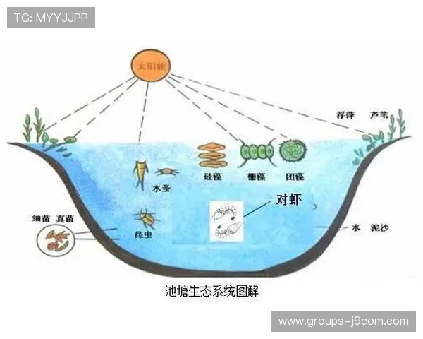 中高白足球场处理结果分析与优化方案探讨 中高白足球场处理结果分析与优化方案探讨